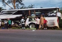 Acidente entre ônibus e caminhão na BR-020/GO deixa 1 morto, em Alvorada do Norte Acidente entre ônibus e caminhão na BR-020/GO deixa 1 morto, em Alvorada do Norte