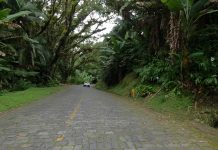 Estrada da Graciosa (PR-410) será interditada, nesta semana, para reforço de sinalização Estrada da Graciosa (PR-410) será interditada, nesta semana, para reforço de sinalização