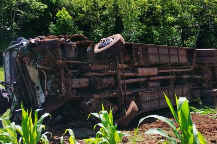 Ônibus da UFSM cai em ribanceira no RS e deixa pelo menos sete mortos e 22 feridos Ônibus da UFSM cai em ribanceira no RS e deixa pelo menos sete mortos e 22 feridos