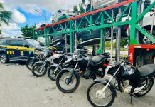 Cegonheiro é flagrado transportando cinco motos furtadas na BR-116, em Jequié (BA) Cegonheiro é flagrado transportando cinco motos furtadas na BR-116, em Jequié (BA)