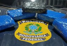Polícia flagra drogas sendo transportadas em ônibus nas rodovias BR-364/RO e BR-116/BA Polícia flagra drogas sendo transportadas em ônibus nas rodovias BR-364/RO e BR-116/BA