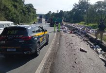 Caminhoneiro bêbado é preso após acidente na BR-116/PR, em Campina Grande do Sul Caminhoneiro bêbado é preso após acidente na BR-116/PR, em Campina Grande do Sul