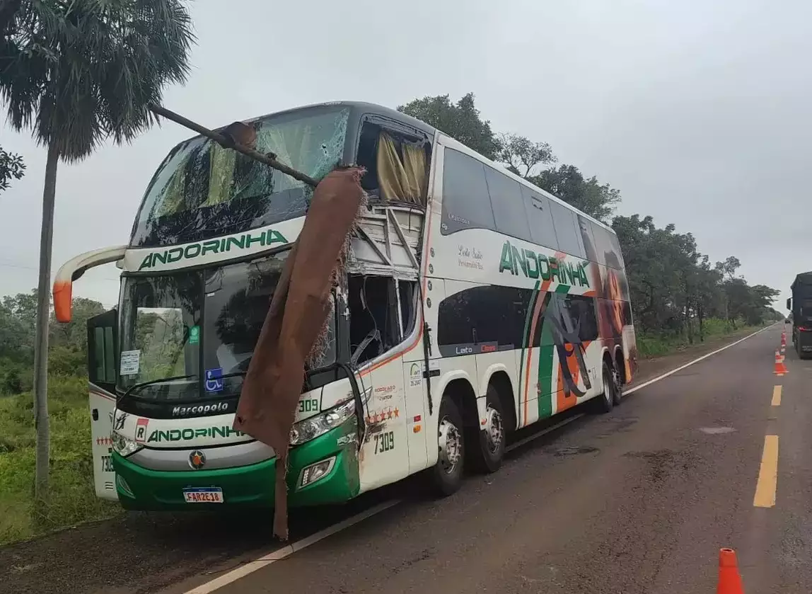 Ônibus da Andorinha se envolve em acidente com caminhão na BR-262/MS e 2 morrem