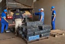 Caminhoneiro é preso na BR-163/PR transportando 7,5 toneladas de drogas Caminhoneiro é preso na BR-163/PR transportando 7,5 toneladas de drogas