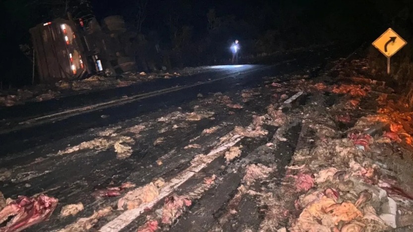 Ônibus da Real Maia com 15 multas por excesso de velocidade se envolve em acidente na TO-134