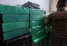 Carga de peixe “recheada” com 5 toneladas de maconha é apreendida na BR-116/SP Carga de peixe "recheada" com 5 toneladas de maconha é apreendida na BR-116/SP