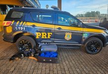 Jovem grávida é flagrada com quase 10 kg de skunk em ônibus na BR-277/PR Jovem grávida é flagrada com quase 10 kg de skunk em ônibus na BR-277/PR