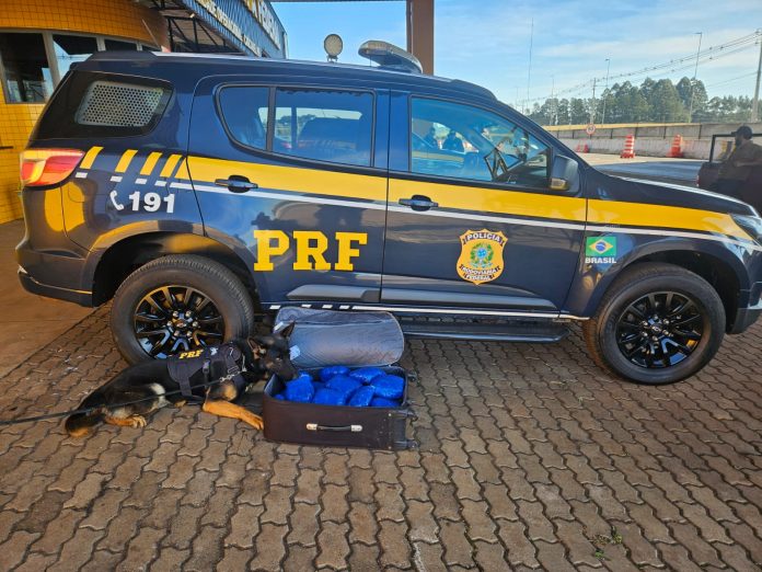 Jovem grávida é flagrada com quase 10 kg de skunk em ônibus na BR-277/PR