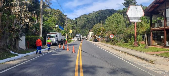 RJ-116 recebe serviços de poda de árvores, em Nova Friburgo, nesta segunda (23)