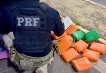 Passageiro de ônibus é preso na BR-222/CE com 29 kg de droga, em Tianguá Passageiro de ônibus é preso na BR-222/CE com 29 kg de droga, em Tianguá