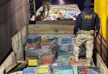 Caminhoneiro é preso com mais de 17 toneladas de maconha na BR-163/PR Caminhoneiro é preso com mais de 17 toneladas de maconha na BR-163/PR