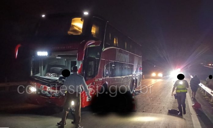 Ônibus da Itamarati atropela e mata bovino na SP-310 e motorista fica ferido
