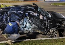 Acidente na BR-282/SC deixa motorista gravemente ferido, em Ponte Serrada Acidente na BR-282/SC deixa motorista gravemente ferido, em Ponte Serrada