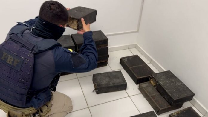 Dois homens são presos na BR-376/PR por transporte ilegal de aves silvestres Dois homens são presos na BR-376/PR por transporte ilegal de aves silvestres