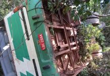 Ônibus cai em ribanceira na BR-010/PA e deixa ao menos 30 feridos, em Aurora do Pará Ônibus cai em ribanceira na BR-010/PA e deixa ao menos 30 feridos, em Aurora do Pará