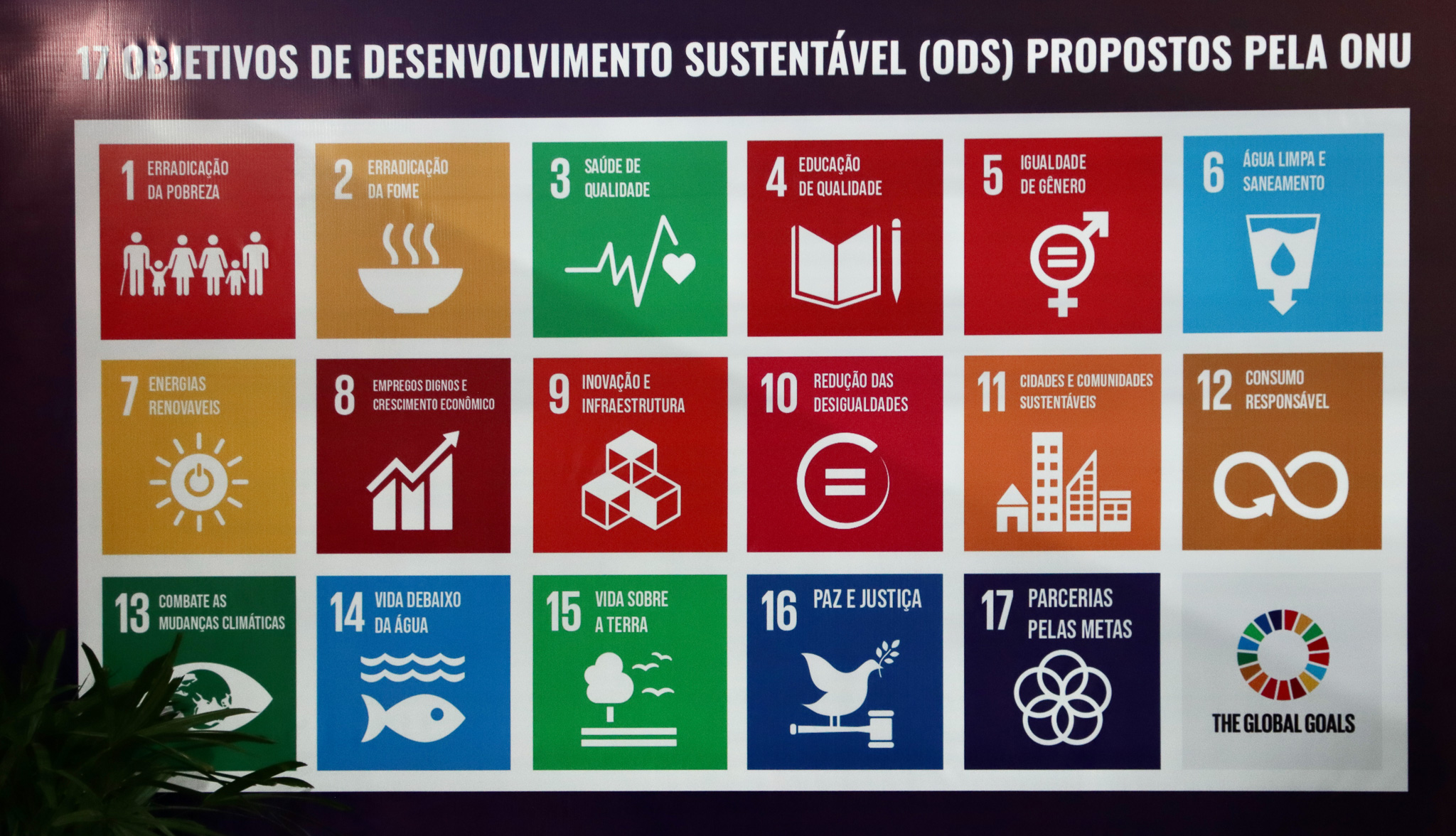 Oitava edição do Conexidades será 100% sustentável