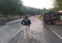 Cresce o número de mortes em acidentes com caminhões nas rodovias federais do Paraná Cresce o número de mortes em acidentes com caminhões nas rodovias federais do Paraná