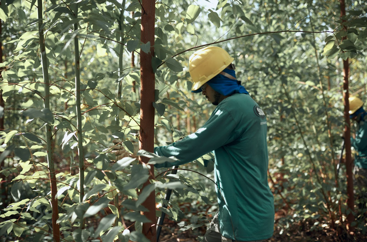 Grupo SADA fortalece compromisso ambiental com produção de controle biológico, em Minas