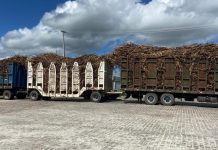 Treminhão é flagrado com na BR-101/RN com 26 toneladas de excesso de peso Treminhão é flagrado com na BR-101/RN com 26 toneladas de excesso de peso