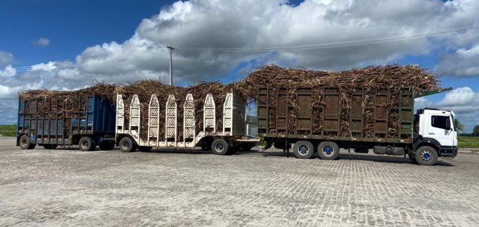 Treminhão é flagrado com na BR-101/RN com 26 toneladas de excesso de peso Treminhão é flagrado com na BR-101/RN com 26 toneladas de excesso de peso