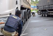 Desrespeito ao limite de peso continua e PRF flagra 546 toneladas de excesso, além de rebites, na BA Desrespeito ao limite de peso continua e PRF flagra 546 toneladas de excesso, além de rebites, na BA