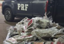 Motorista de picape é flagrado com 28 kg de drogas na BR-060, em Abadiânia (GO) Motorista de picape é flagrado com 28 kg de drogas na BR-060, em Abadiânia (GO)