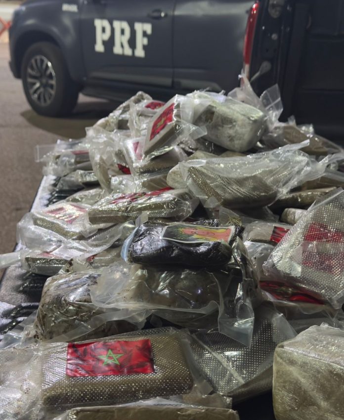 Motorista de picape é flagrado com 28 kg de drogas na BR-060, em Abadiânia (GO)