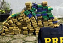Homem é preso na BR-101/SC com mais de 111 quilos de maconha, em Balneário Camboriú Homem é preso na BR-101/SC com mais de 111 quilos de maconha, em Balneário Camboriú