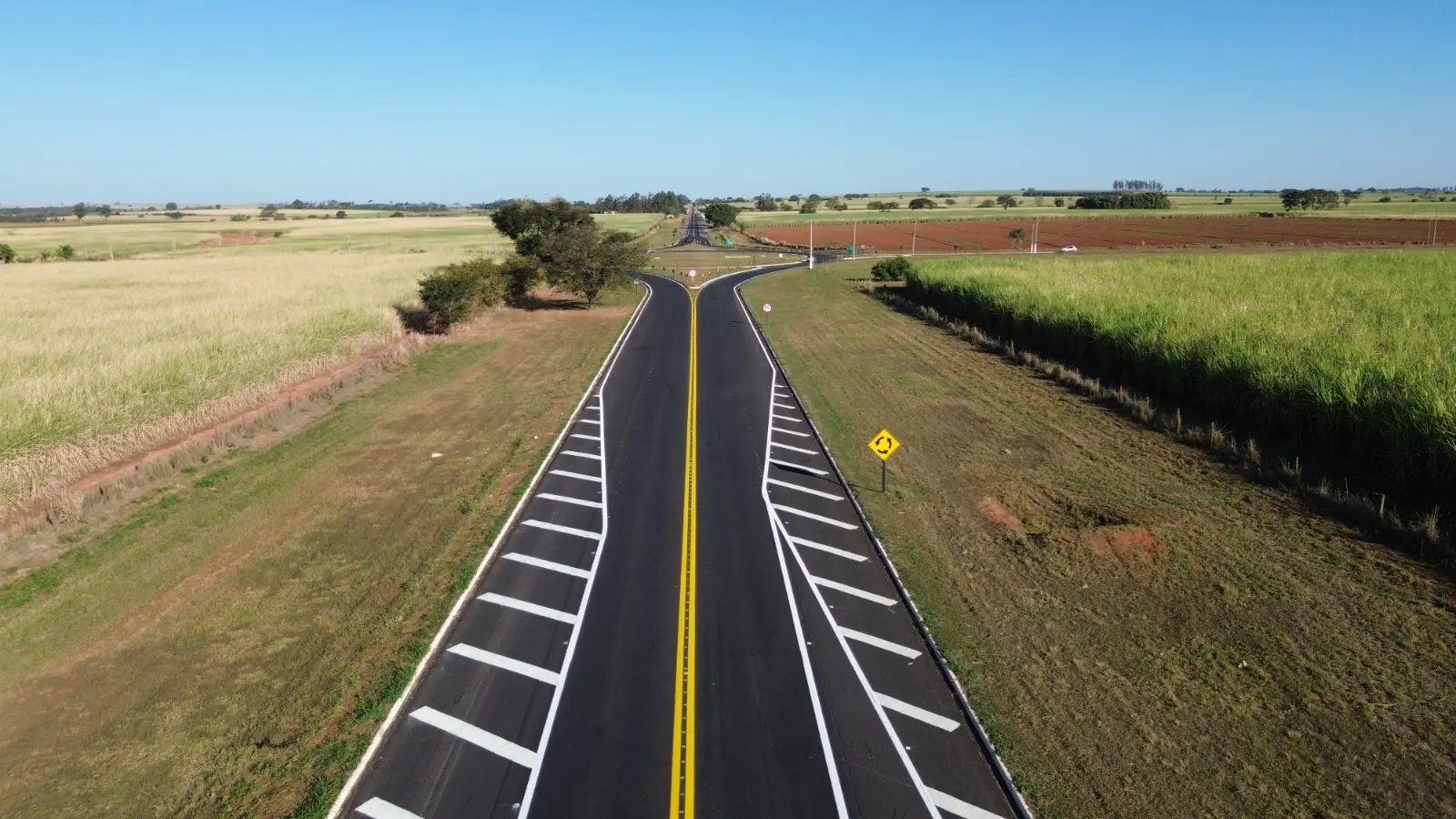 Governo de São Paulo libera as margens de rodovias estaduais para fins agrícolas