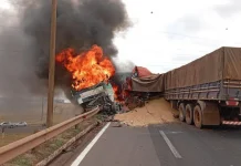 Caminhoneiro morre carbonizado em colisão entre carretas na BR-163/MS Caminhoneiro morre carbonizado em colisão entre carretas na BR-163/MS