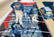 PRF apreende quase uma tonelada de drogas por dia nas BRs do Mato Grosso do Sul PRF apreende quase uma tonelada de drogas por dia nas BRs do Mato Grosso do Sul