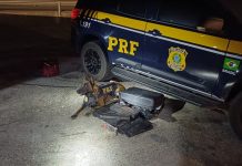 Passageira de ônibus é presa na BR-116/SP, em Arujá, com mais de 22 kg de maconha Passageira de ônibus é presa na Via Dutra (BR-116), em Arujá (SP), com mais de 22 quilogramas de maconha, nessa quarta (10).