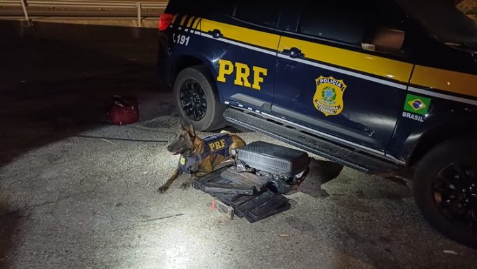 Passageira de ônibus é presa na Via Dutra (BR-116), em Arujá (SP), com mais de 22 quilogramas de maconha, nessa quarta (10).