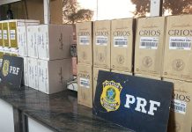 Remédio para emagrecer, vinho, anabolizantes e eletrônicos são apreendidos na BR-381/MG, em Itatiaiuçu Remédio para emagrecer, vinho, anabolizantes e eletrônicos são apreendidos na BR-381/MG, em Itatiaiuçu