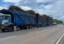 Fiscalização de peso em rodovias federais potiguares flagra mais de 98 toneladas de excesso Fiscalização de peso em rodovias federais potiguares flagra mais de 98 toneladas de excesso