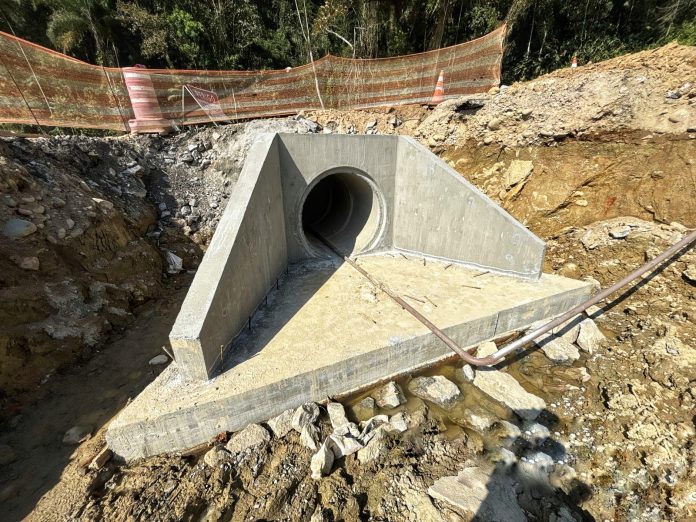 Preservação da fauna é também prioridade na construção da Ponte de Guaratuba, no PR