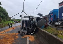 Caminhoneiros morrem em acidente na Fernão Dias, em Itapeva (MG) Caminhoneiros morrem em acidente na Fernão Dias, em Itapeva (MG)