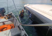 Motorista que dormia no bagageiro morre afogado após ônibus cair de balsa no Rio Tocantins Motorista que dormia no bagageiro morre afogado após ônibus cair de balsa no Rio Tocantins