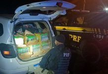 Operação conjunta da PF e PRF apreende 65 litros de lança-perfume na BR-101/RJ Operação conjunta da PF e PRF apreende 65 litros de lança-perfume na BR-101/RJ