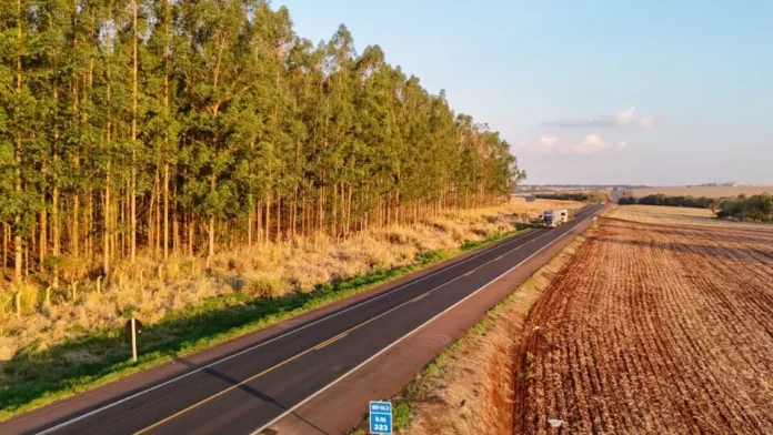 Reúne Rodovias oferece desconto de 23,8% no pedágio e vence leilão do Lote 5 no Paraná Reúne Rodovias oferece desconto de 23,8% no pedágio e vence leilão do Lote 5 no Paraná