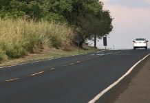 Rota Sertaneja (BR-153/262/GO/MG) será leiloada, nesta quinta (6), em São Paulo Rota Sertaneja (BR-153/262/GO/MG) será leiloada, nesta quinta (6), em São Paulo
