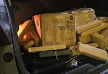 VÍDEO: Menor rouba carro e é apreendido com 300 kg de maconha na BR-101/SC VÍDEO: Menor rouba carro e é apreendido com 300 kg de maconha na BR-101/SC