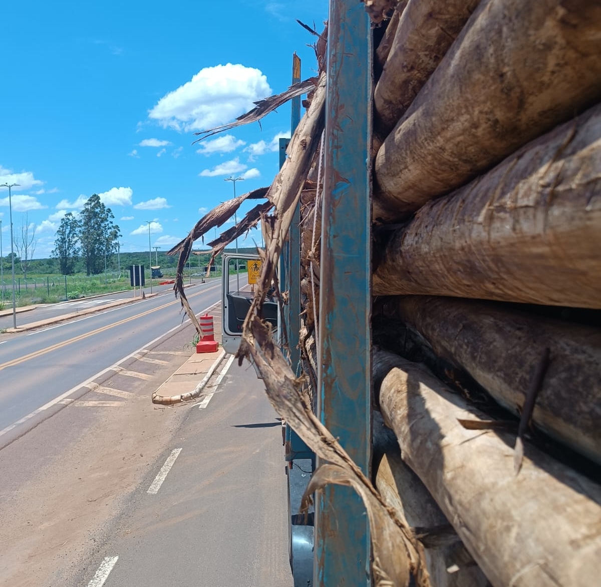 VÍDEO: Cargas com toras de eucalipto são perigo constante nas BRs em Mato Grosso do Sul