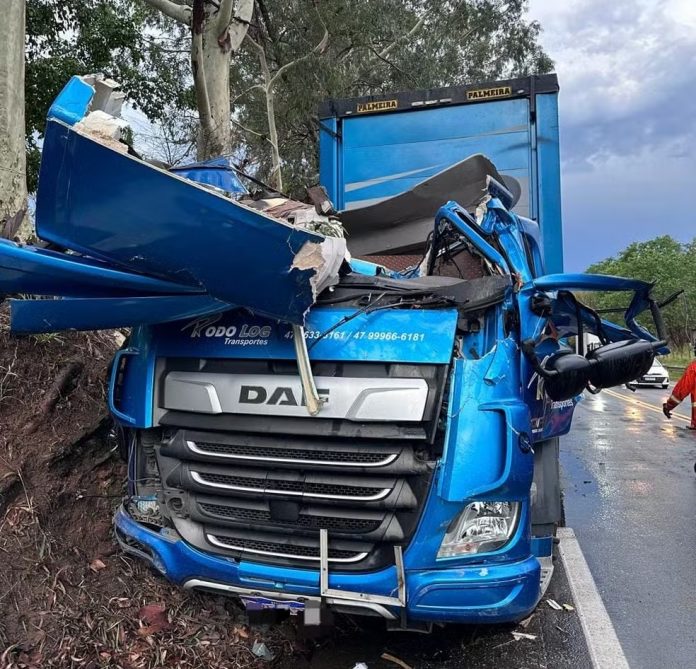 Caminhoneiro fica ferido na BR-393/RJ após árvore cair sobre carreta, em Sapucaia