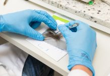 Como o cabelo se tornou prova científica na toxicologia forense Como o cabelo se tornou prova científica na toxicologia forense