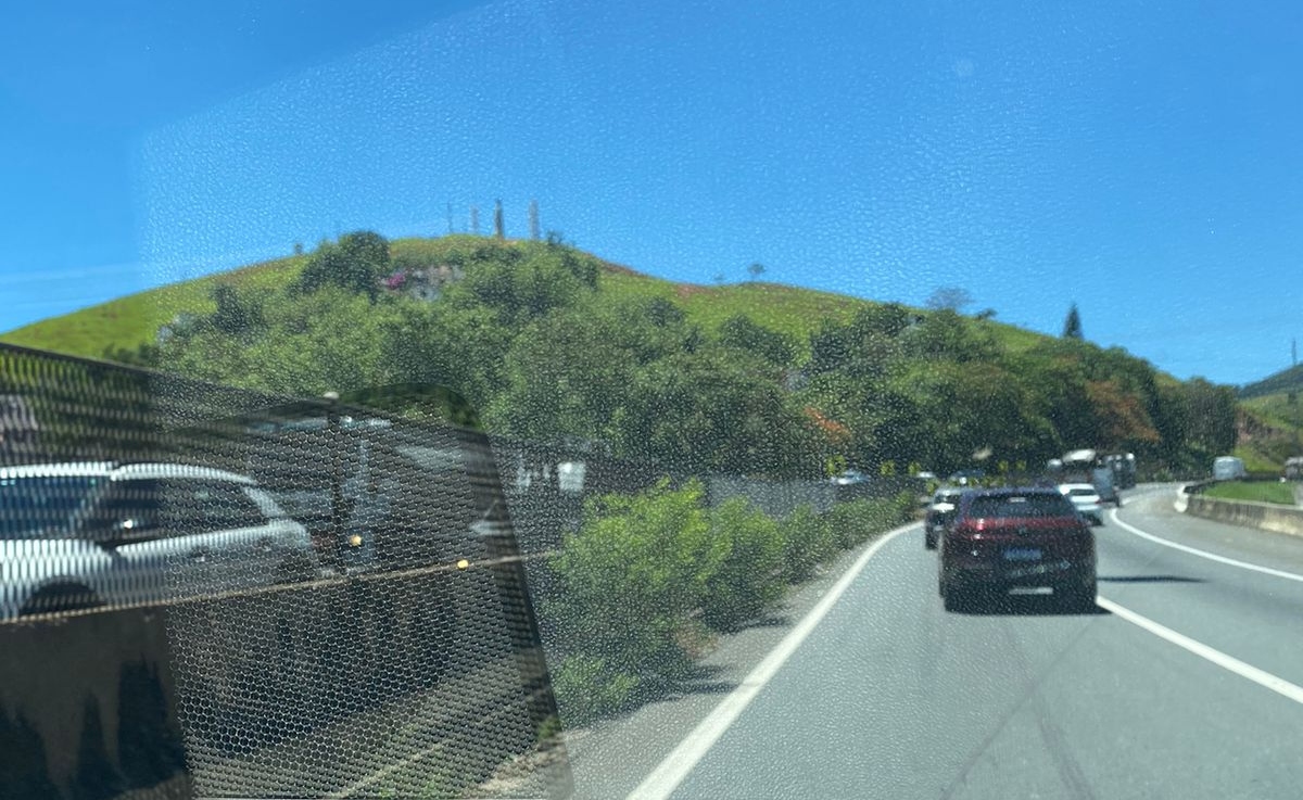 CCR RioSP está mais preocupada em cobrar pedágio do que cortar o mato na Via Dutra