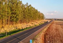 Homologados os leilões dos Lote 4 e 5 de rodovias no Paraná Homologados os leilões dos Lote 4 e 5 de rodovias no Paraná