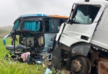 Motorista de ônibus irregular morre em colisão com carreta na BR-356/MG, em Muriaé Motorista de ônibus irregular morre em colisão com carreta na BR-356/MG, em Muriaé