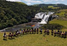 VÍDEO: Turismo sustentável ganha impulso na BR-285/RS/SC com iniciativas audiovisuais VÍDEO: Turismo sustentável ganha impulso na BR-285/RS/SC com iniciativas audiovisuais