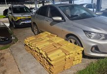Traficante com quase 500 kg de drogas é preso na SP-613, em Rosana Traficante com quase 500 kg de drogas é preso na SP-613, em Rosana